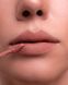 Оксамитова матова помада ZOLA Velour Lip Souffle - 02 Rosewood (4.2 ml) 4415 фото 5