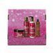 Подарочный бокс Top Beauty Barbie pink (гель для душа, крем для тела, мист, скраб) 4253 фото 2