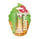 Бальзам для губ balme* - Watermelon Ice Cream (5 g) 3695 фото 1